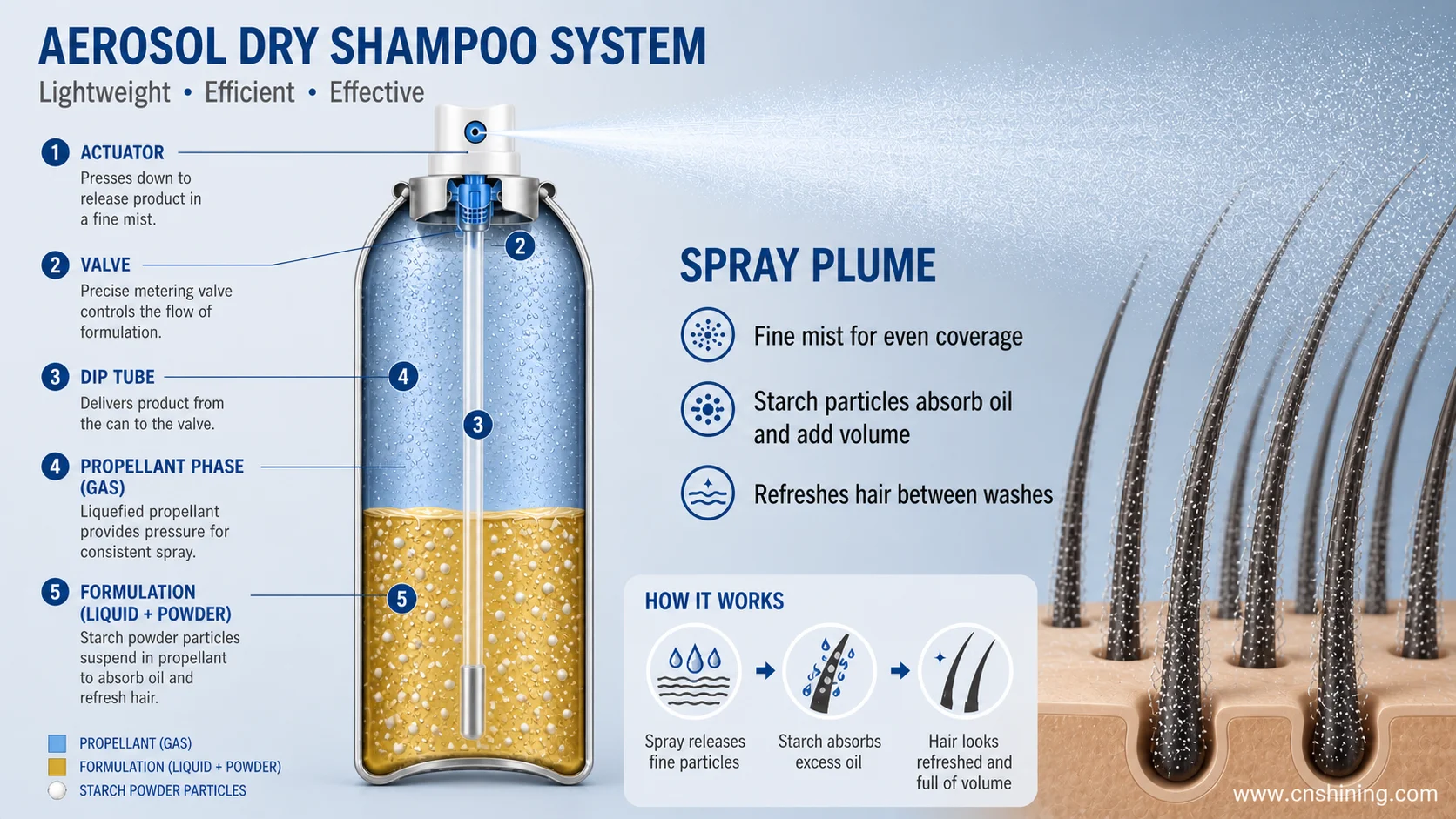 Aerosol dry shampoo packaging and formulation system Aerosol dry shampoo system showing can, valve, actuator, propellant and powder dispersion