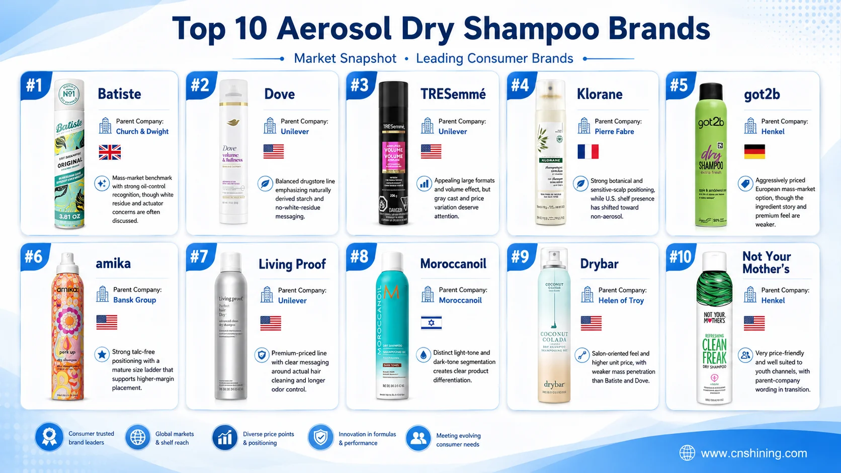 Top 10 aerosol dry shampoo brands and category positioning Top 10 aerosol dry shampoo brands arranged by channel visibility and SKU strategy