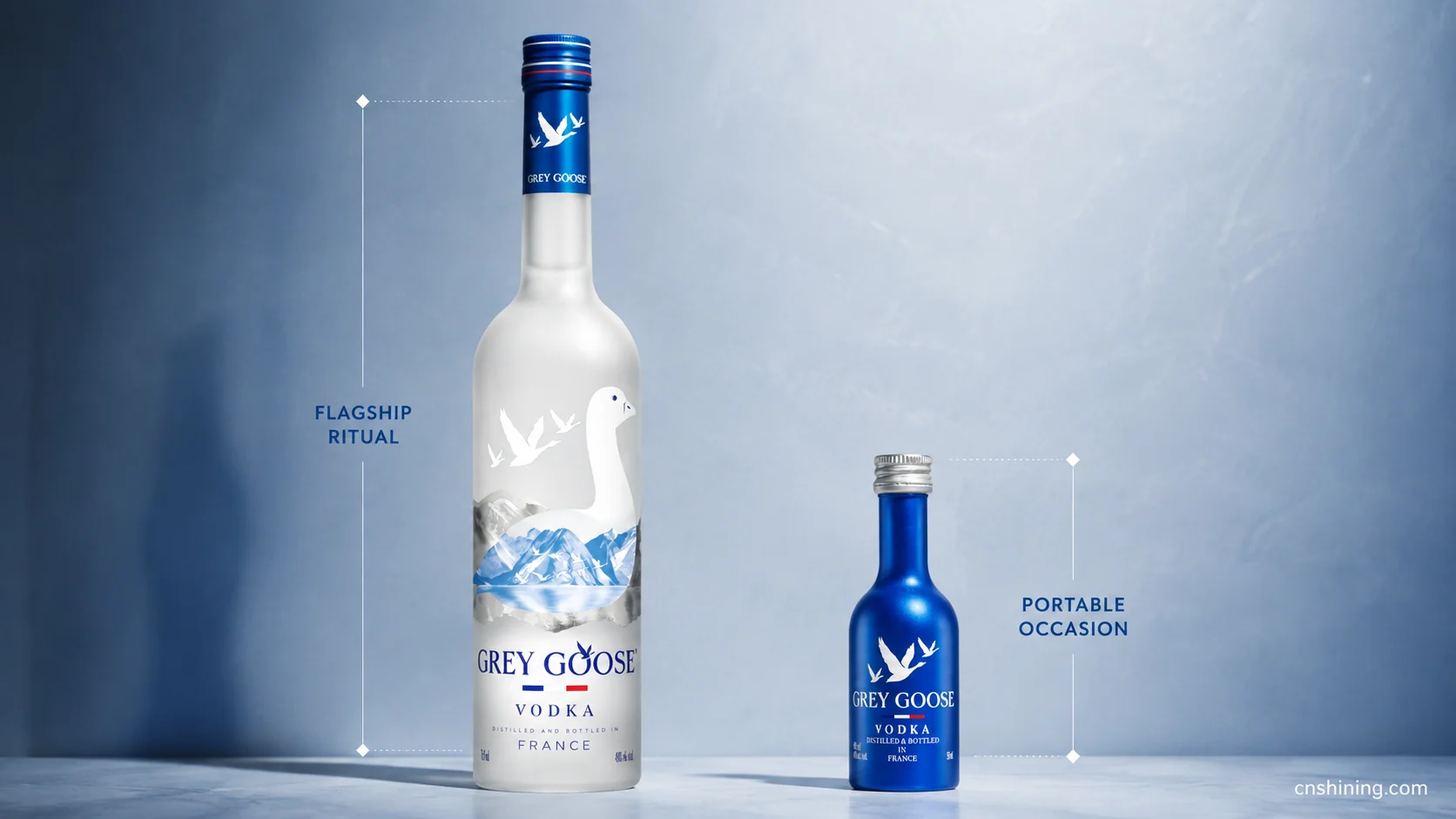 Grey Goose Glass Flagship and Aluminum Miniature Grey Goose aluminum bottle beside the brand’s frosted glass vodka bottle as a portable packaging extension