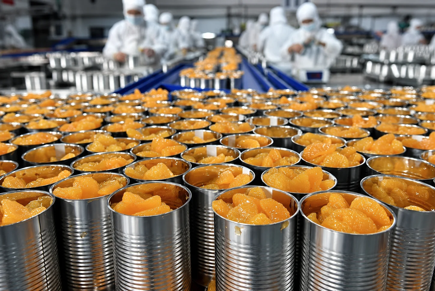 Metal food cans on a production line Open metal food cans filled with fruit on a food production line