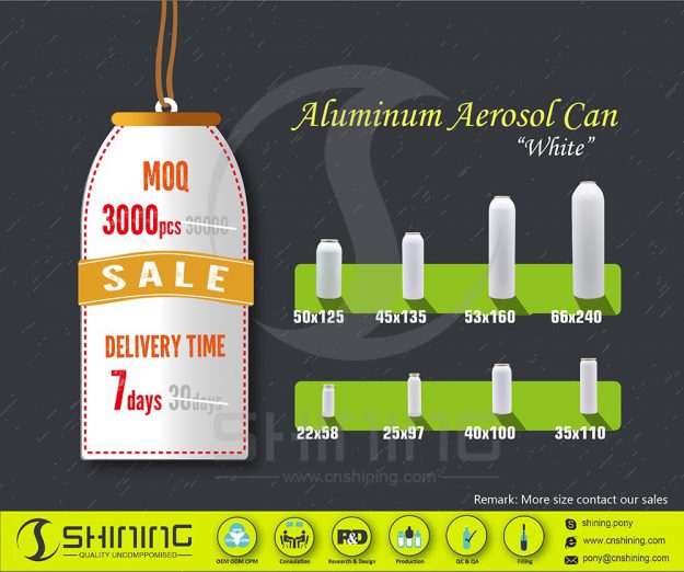 High Quality Aluminum Aerosol Bottle