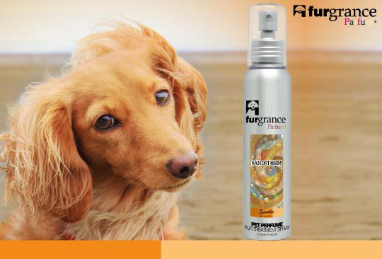 Aluminium-Flasche-für-Haustier-Parfüm-3