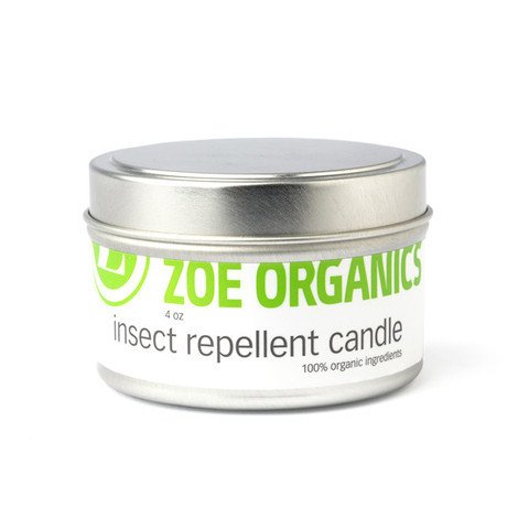 InsectRepCandle_large_cb8c2882-07a5-4eea-a826-f14ca0d0e3a9_1024x1024