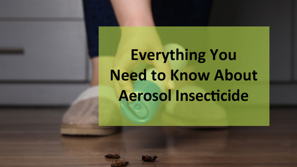 Tudo o que você precisa saber sobre inseticida aerossol