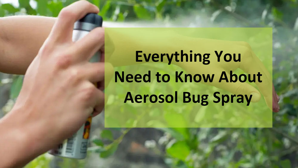 Tudo o que você precisa saber sobre spray aerossol de percevejos