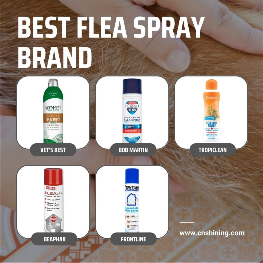 Best Flea Spray Brand