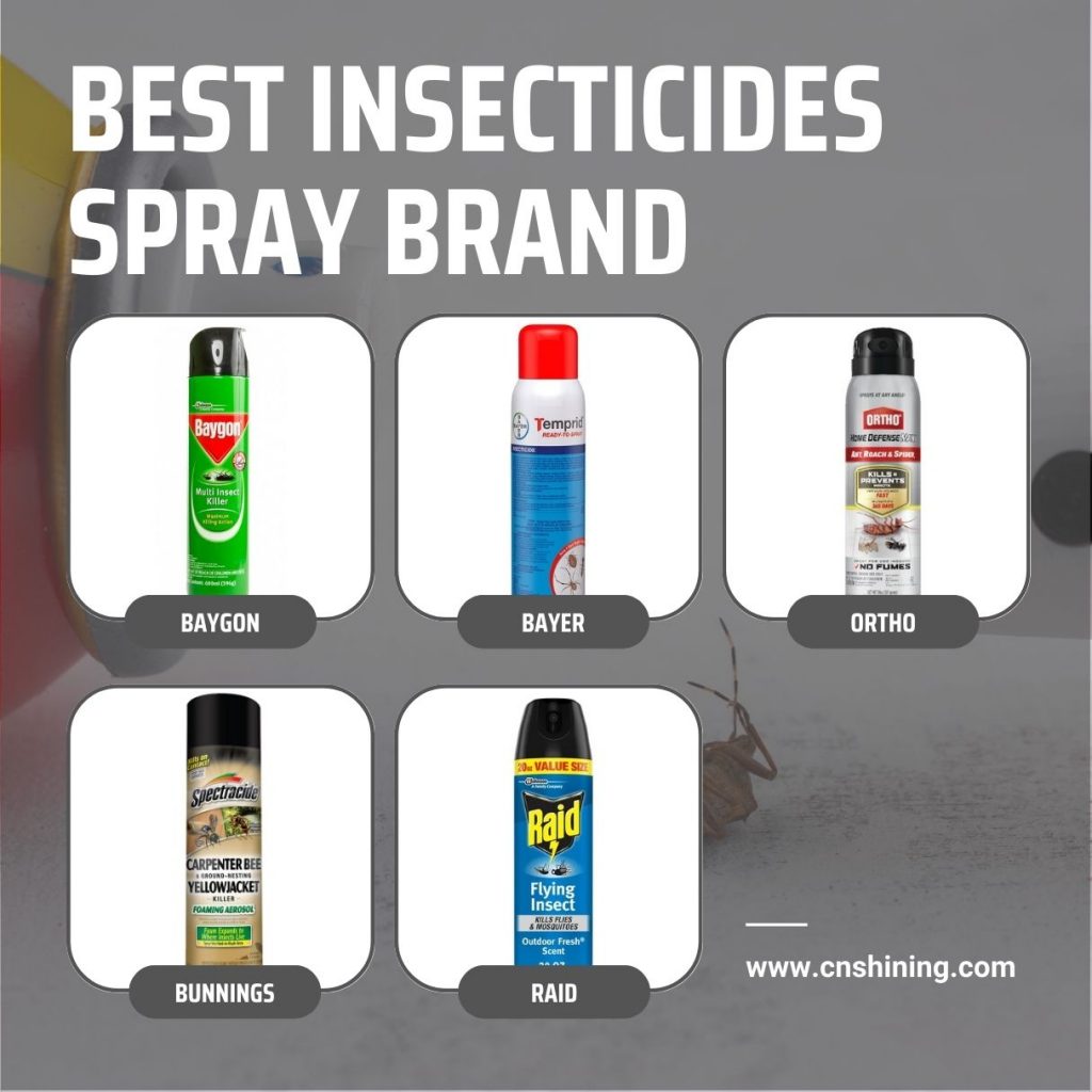 Les meilleurs insecticides en spray Brandv