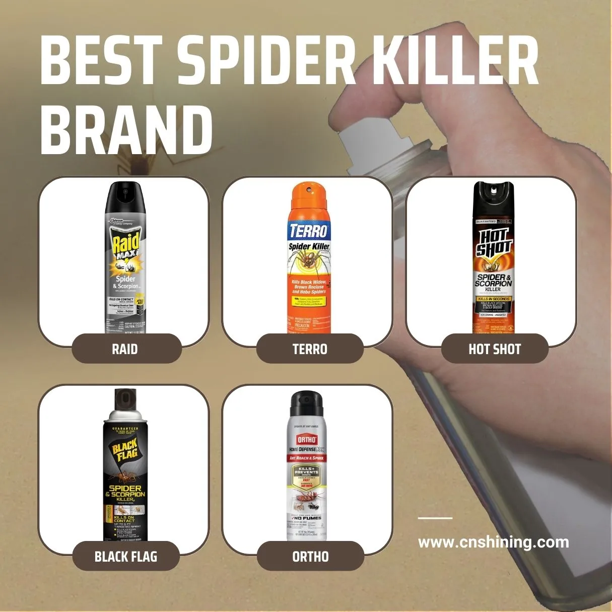 aerosol spider killer
