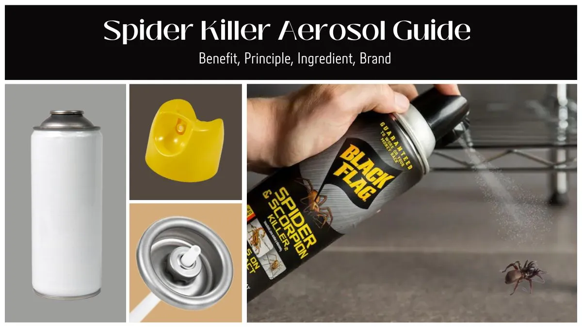 aerosol spider killer