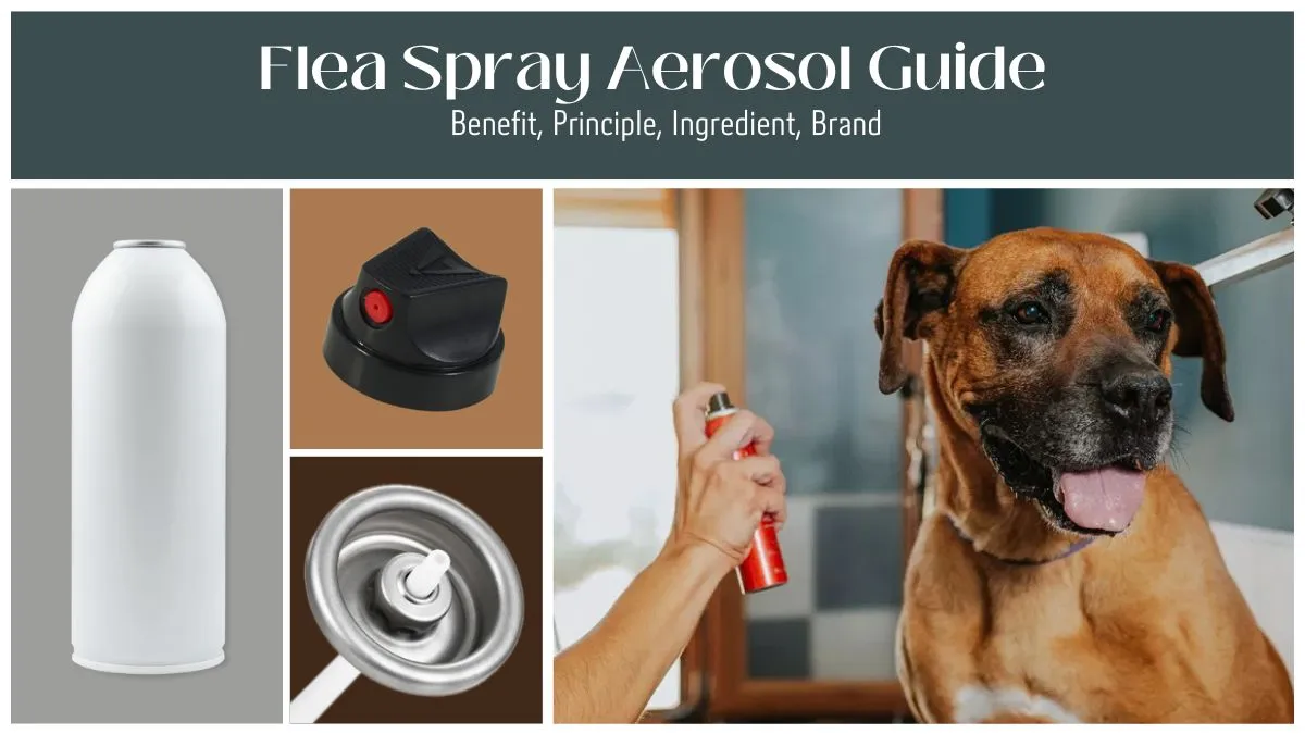 flea aerosol spray