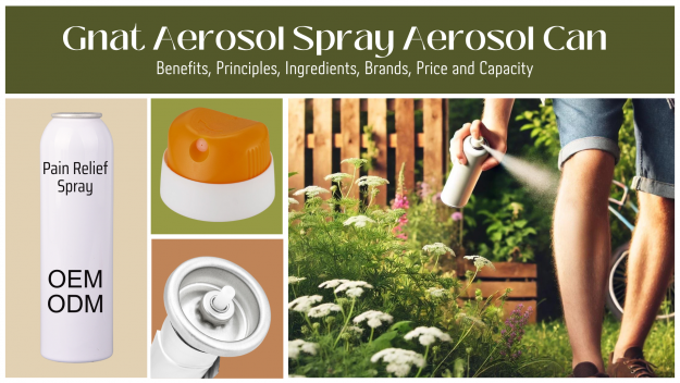 Gnat Aerosol Spray Aerosol Can Benefits, Principles, Ingredients, Brands, Price and Capacity