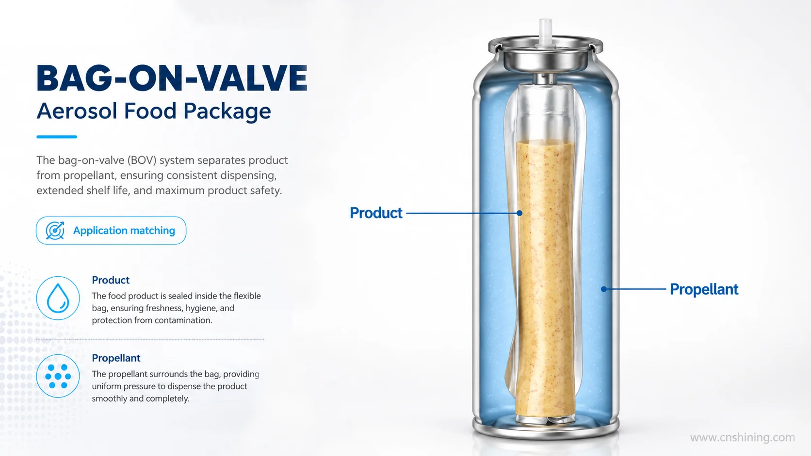 Discovery Part 7: Exploring Different Types of Aerosol Valves and Their Applications 3 Bag-On-Valve Aerosol Food Package With Product Separated From Propellant