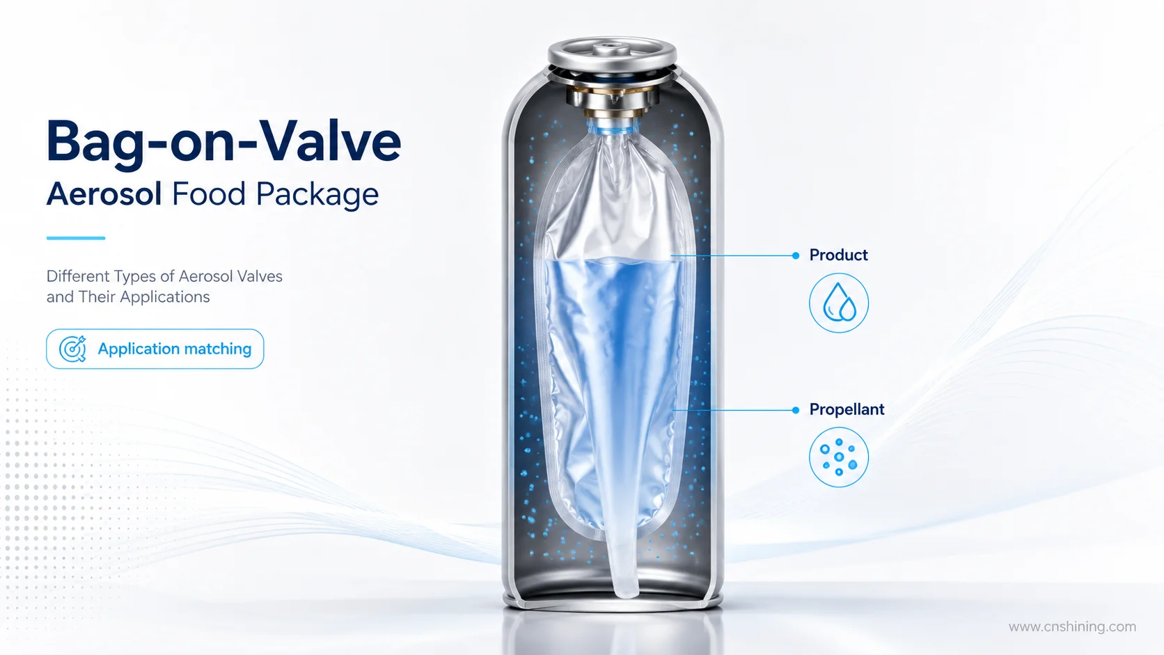 Bag-On-Valve Aerosol Food Package With Product Separated From Propellant