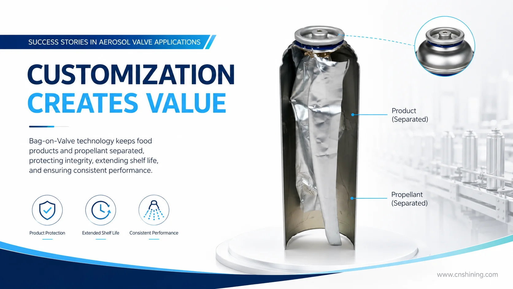 Bag-On-Valve Aerosol Food Package With Product Separated From Propellant