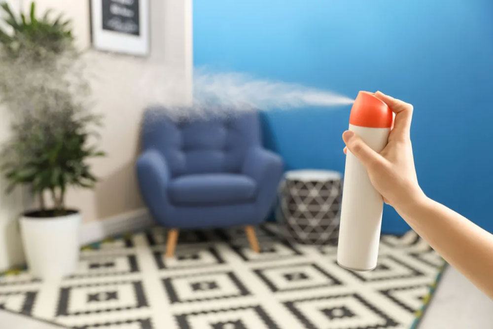 2024-France-Aerosol-Can-Market-deodorants