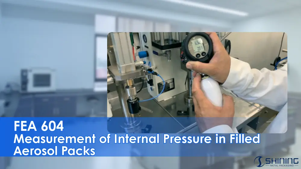 Измерение внутреннего давления в заполненных аэрозольных упаковках с помощью цифрового манометра (FEA 604).