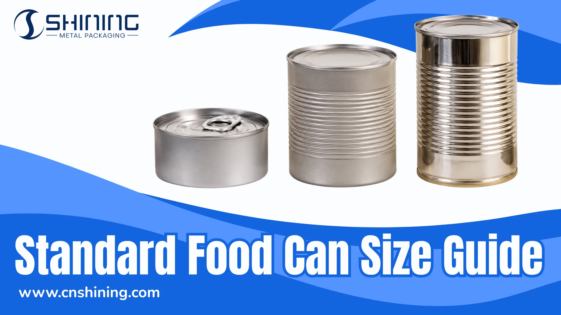 Standard Food Can Size Guide Dimensions & Uses