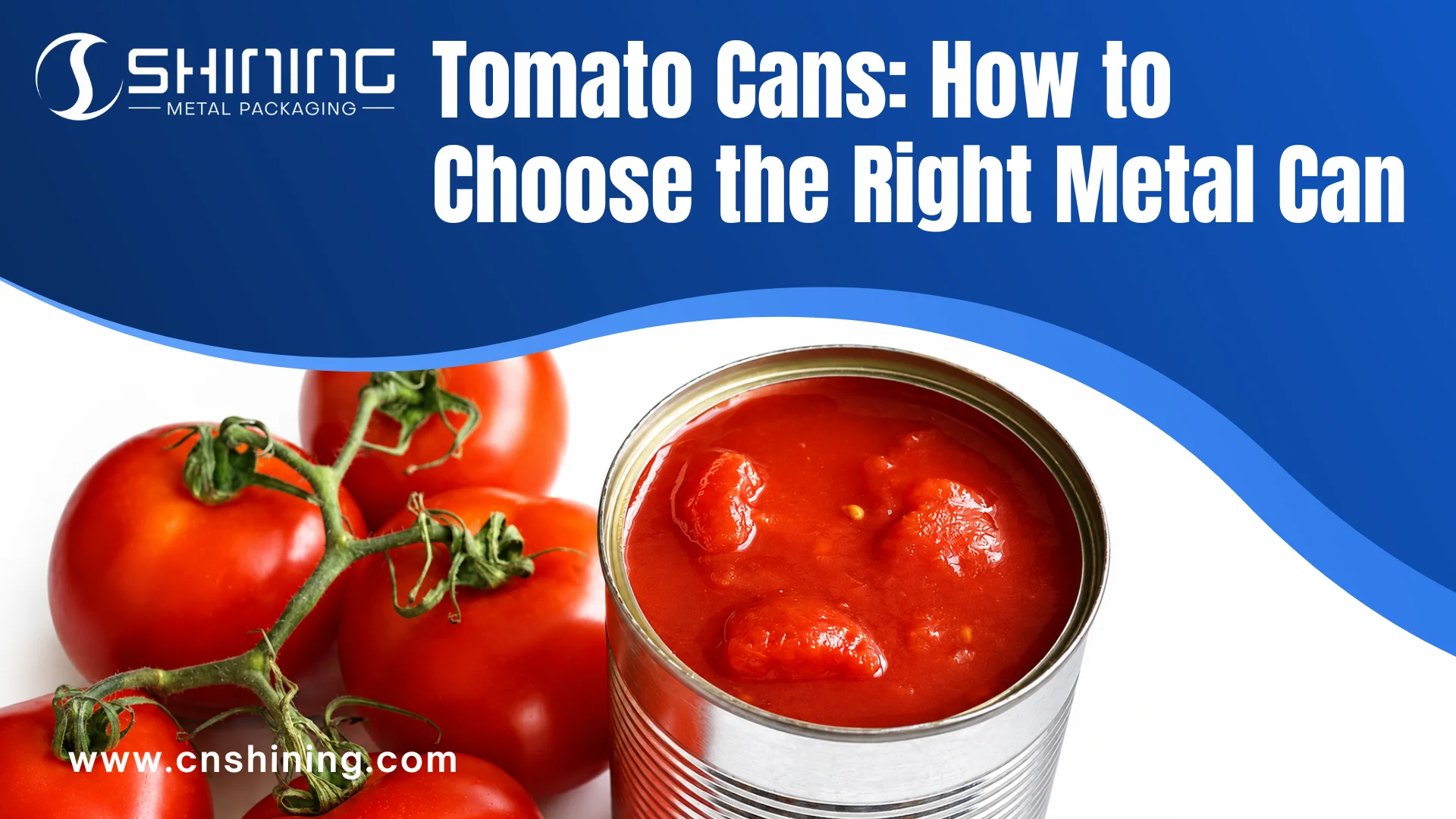 Tomato Can Guide Choose the Right Metal Can & Coating