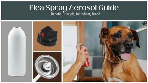 Spray antipulgas Aeroso lata