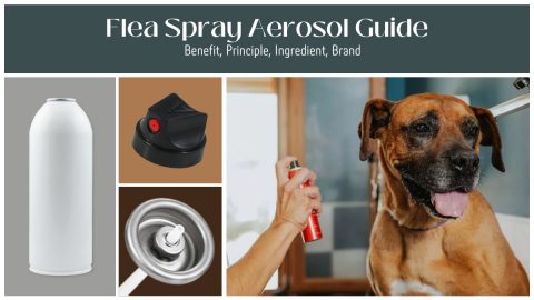 Flea Spray Aeroso can