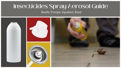 Lata de aerosol insecticidas en aerosol